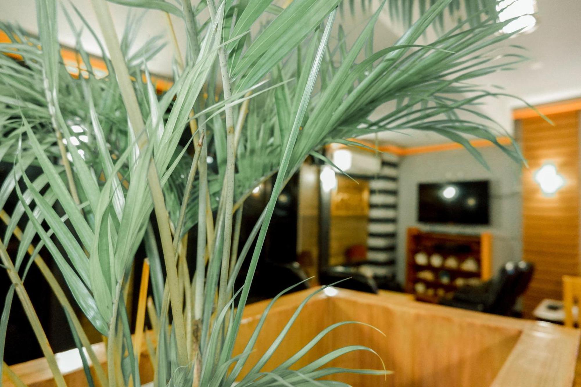 Casi Verde Guest House Đảo Đảo Panglao Ngoại thất bức ảnh