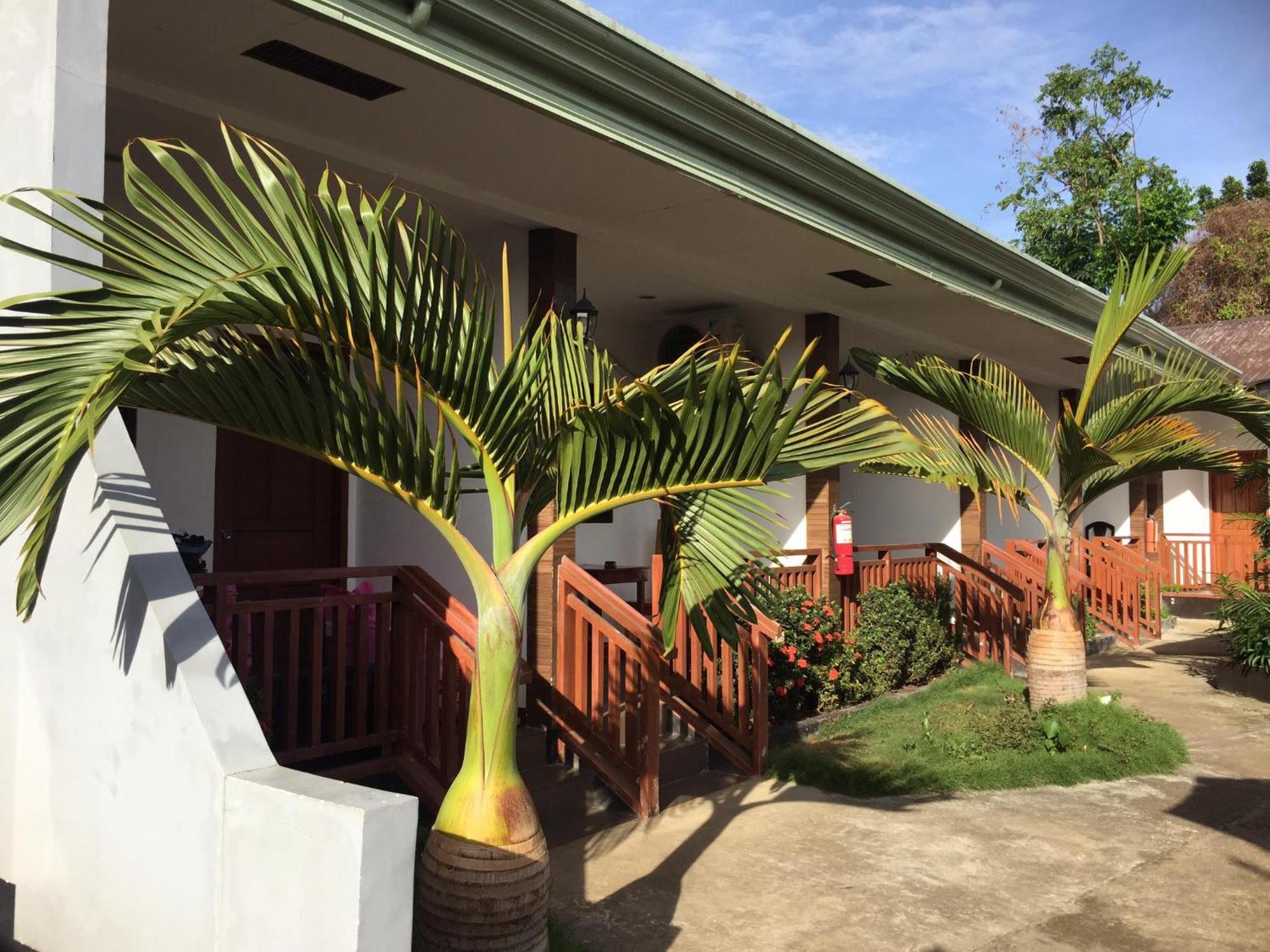 Casi Verde Guest House Đảo Đảo Panglao Ngoại thất bức ảnh
